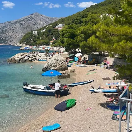 Sunny Lux 3 In By Guide