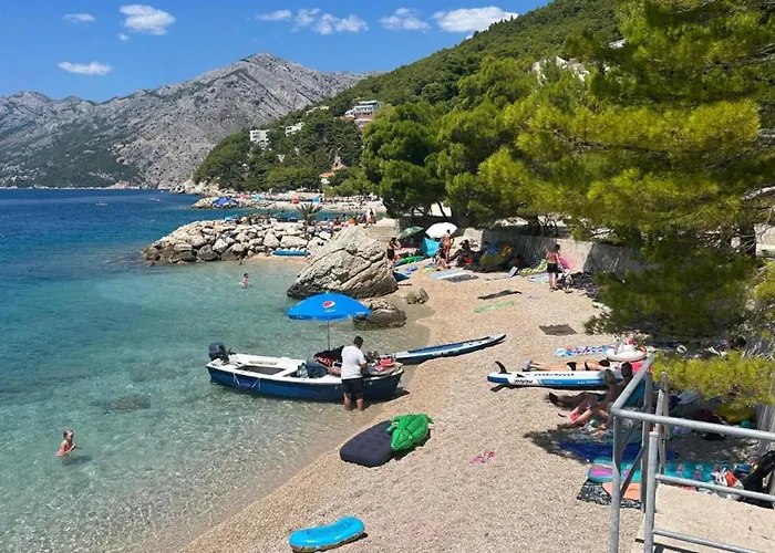 Sunny Lux 3 In By Guide